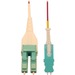 Eaton Tripp Lite Series 40/100/400G Multimode 50/125 OM4 Fiber Optic Cable (Duplex SN-PC to Duplex LC-PC M/M), LSZH, Magenta, 1 m (3.3 ft.) - 3.28 ft Fiber Optic Network Cable for Network Device, Transceiver, Patch Panel, Switch - First End: 2 x LC/PC Net