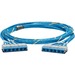 Panduit QuickNet Cat.6a UTP Trunk Network Cable - 10 ft Category 6a Network Cable for Network Device, Patch Panel - 10 Gbit/s - Trunk Cable - Plenum - Blue