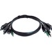 Black Box Secure KVM Cable - Each end (1) USB, (1) or (2) DisplayPort, (1) 3.5mm Audio - 6 ft KVM Cable for KVM Switch, PC - First End: 1 x USB - Male, 2 x DisplayPort 1.2 Digital Audio/Video - Male, 1 x 3.5mm Stereo Audio - Male - Second End: 1 x USB - M