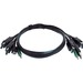 Black Box Secure KVM Cable - Each end (1) USB, (1) or (2) DisplayPort, (1) 3.5mm Audio - 10 ft KVM Cable for KVM Switch, PC - First End: 1 x USB - Male, 2 x DisplayPort 1.2 Digital Audio/Video - Male, 1 x 3.5mm Stereo Audio - Male - Second End: 1 x USB - 