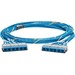 Panduit QuickNet Cat.6a UTP Trunk Network Cable - 69 ft Category 6a Network Cable for Network Device, Patch Panel - First End: 6x RJ-45 Cassette - Female - 10 Gbit/s - Trunk Cable - Riser - Blue