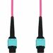 AddOn 15m MPO/UPC to MPO/UPC Magenta OM4 OFNR (Riser-Rated) 12-Strand Fiber Patch Cable - 49.21 ft Fiber Optic Network Cable for Network Device - First End: 1 x MPO/UPC Network - Female - Second End: 1 x MPO Network - Female - Patch Cable - Riser - 50/125