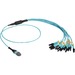 Black Box MTP OM3 Fiber Optic Harness Cable - Plenum, 12-Strand - 3.28 ft Fiber Optic Network Cable for Blade Server, Patch Panel, Switch, Network Device - First End: 12 x LC Network - Second End: 1 x MTP/MPO Network - Trunk Cable - Plenum - Aqua, Blue