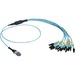 Black Box MTP OM3 Fiber Optic Harness Cable - Plenum, 12-Strand - 9.84 ft Fiber Optic Network Cable for Patch Panel, Network Device, Blade Server, Switch - First End: 1 x MTP/MPO Network - Second End: 12 x LC Network - Male - Trunk Cable - Plenum - Aqua, 