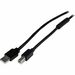 StarTech.com Cable USB 2.0 to USB B M/M 65' - 65 ft USB/USB-B Data Transfer Cable