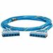 Panduit QuickNet Cat.6 UTP Trunk Network Cable - 62 ft Category 6 Network Cable for Network Device - First End: 1 x RJ-45 Cassette Network - Female - Second End: 1 x RJ-45 Cassette Network - Female - Trunk Cable - Riser - Blue