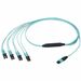 Panduit Harness Cable Assembly - 32.81 ft Fiber Optic Network Cable for Network Device - First End: 1 x MPO-8 Network - Female - Second End: 8 x LC Network - Male - Fan-out Cable - Plenum, OFNP - 50 µm - Aqua - 1