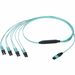 Panduit QuickNet Harness Cable Assembly - 9.84 ft Fiber Optic Network Cable for Network Device, Storage Array, Network Switch - First End: 4 x MPO Network - Female - Second End: 2 x LC Network - Male - 32 Gbit/s - Plenum, OFNP - Aqua - 1