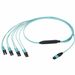 Panduit QuickNet Harness Cable Assembly - 16.40 ft Fiber Optic Network Cable for Network Device, Switch, Server, Storage Array - First End: 1 x MPO Network - Female - Second End: 8 x LC Network - Male - 400 Gbit/s - Plenum, OFNP - Aqua - 1