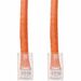 AddOn 2ft Orange CAT 6A PVC Ethernet Cable Non-Booted RJ-45 M/M - 2 ft Category 6a Network Cable for Network Device - First End: 1 x RJ-45 Network - Male - Second End: 1 x RJ-45 Network - Male - Patch Cable - CM - 24 AWG - Orange - 1.0