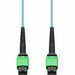 AddOn 5m MPO/APC to MPO/APC Aqua OM4 OFNR (Riser-Rated) 16-Strand Fiber Patch Cable - 16.41 ft Fiber Optic Network Cable for Network Device - First End: MPO Network - Female - Second End: MPO Network - Female - Patch Cable - Riser, OFNR - Aqua - 1 Piece