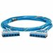 Panduit QuickNet Cat.6 UTP Trunk Network Cable - 24 ft Category 6 Network Cable for Network Device, Patch Panel - First End: 1 x RJ-45 Cassette Network - Female - Second End: 6 x RJ-45 Network - Female - 10 Gbit/s - Trunk Cable - Riser - Blue