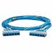 Panduit QuickNet Cat.6a Trunk UTP Network Cable - 19 ft Category 6a Network Cable for Network Device - First End: 1 x RJ-45 Cassette Network - Female - Second End: 1 x RJ-45 Cassette Network - Female - Trunk Cable - Riser - Blue