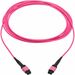 Eaton Tripp Lite Series 100G Multimode 50/125 OM4 Fiber Optic Cable (12F MTP/MPO-PC F/F), OFNP, Magenta, 3 m (9.8 ft.), TAA - 9.84 ft Fiber Optic Network Cable for Network Device, Patch Panel, Switch - First End: 1x MTP/MPO Network - Female - Second End: 