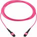 Eaton Tripp Lite Series 100G Multimode 50/125 OM4 Fiber Optic Cable (12F MTP/MPO-PC F/F), OFNP, Magenta, 5 m (16.4 ft.), TAA - 16.40 ft Fiber Optic Network Cable for Network Device, Patch Panel, Switch - First End: 1x MTP/MPO Network - Female - Second End