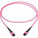 Eaton Tripp Lite Series 100G Multimode 50/125 OM4 Fiber Optic Cable (12F MTP/MPO-PC F/F), OFNP, Magenta, 2 m (6.6 ft.), TAA - 6.56 ft Fiber Optic Network Cable for Network Device, Patch Panel, Switch - First End: 1x MTP/MPO Network - Female - Second End: 
