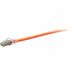 C2G F-Series Cat.6a Patch Network Cable - 12 ft Category 6a Network Cable for Network Device, Network Adapter, Switch, Patch Panel, Hub, Router, DSL Modem - First End: 1 x RJ-45 Network - Male - Second End: 1 x RJ-45 Network - Male - 10 Gbit/s - Patch Cab