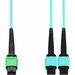 AddOn 7m AMPO-16 2xMPO Aqua OM4 OFNR (Riser-Rated) 16-Strand MMF Fiber Fanout Cable - 22.97 ft Fiber Optic Network Cable for Network Device - First End: MPO-16/APC Network - Female - Second End: 2 x MPO Network - Female - Fan-out Cable - OFNR, Riser - Aqu