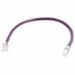 Quiktron Q-Series Patch Cords, CAT5E, Non-Booted, Purple, 50 FT - 50 ft Category 5e Network Cable for Network Device - First End: 1 x RJ-45 Network - Male - Second End: 1 x RJ-45 Network - Male - Patch Cable - Gold Plated Connector - CM - 24 AWG - Purple