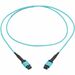 Eaton Tripp Lite Series 100G Multimode 50/125 OM4 Fiber Optic Cable (12F MPO/MPO-PC F/F), Type-A Polarity, OFNP, Aqua, 1 m (3.3 ft.), TAA - 3.28 ft Fiber Optic Network Cable for Network Device, Switch, Patch Panel - First End: 1 x MPO Network - Female - S