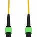 AddOn Network Cable - 16.40 ft Fiber Optic Network Cable for Network Device - First End: MPO/APC Network - Female - Second End: MPO/APC Network - Female - Patch Cable - Plenum, OFNP - Yellow - 1 Piece