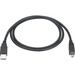 Black Box USB 2.0 A to B Cable - Type A Male USB - Type B Male USB - 13ft