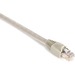 Black Box Gigabase Cat. 5E UTP Patch Cable - RJ-45 Male - RJ-45 Male - 100ft - Beige