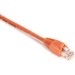 Black Box Gigabase Cat. 5E UTP Patch Cable - RJ-45 Male - RJ-45 Male - 6ft - Orange
