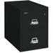 FireKing Insulated Two-Drawer Vertical File - 20.8" x 25" x 27.8" - 2 x Drawer(s) for File - Legal - Vertical - Pick Resistant Lock, Drill Resistant, Fire Proof, Scratch Resistant - Black - Chrome - Steel