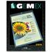 Gemex Letter Vinyl File Pocket - 8 1/2" x 11" - Vinyl, Metal - Clear - 1 / Box