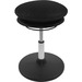 Evolution Chair Wobble Stool - Black, Silver - 1 Each