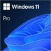 Microsoft Windows 11 Pro 64-bit - Box Pack - 1 License - 1 - Flash Drive - English - PC