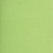NAPP Colour Cardstock - 22" (558.80 mm)Width x 28" (711.20 mm)Length - 48 / Box - Light Green