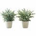 Monarch Specialties Artificial Plant - 2pcs / 13"H Eucalyptus/ Grass/ 4" Pot - Eucalyptus - Stem - Pot2 / Box