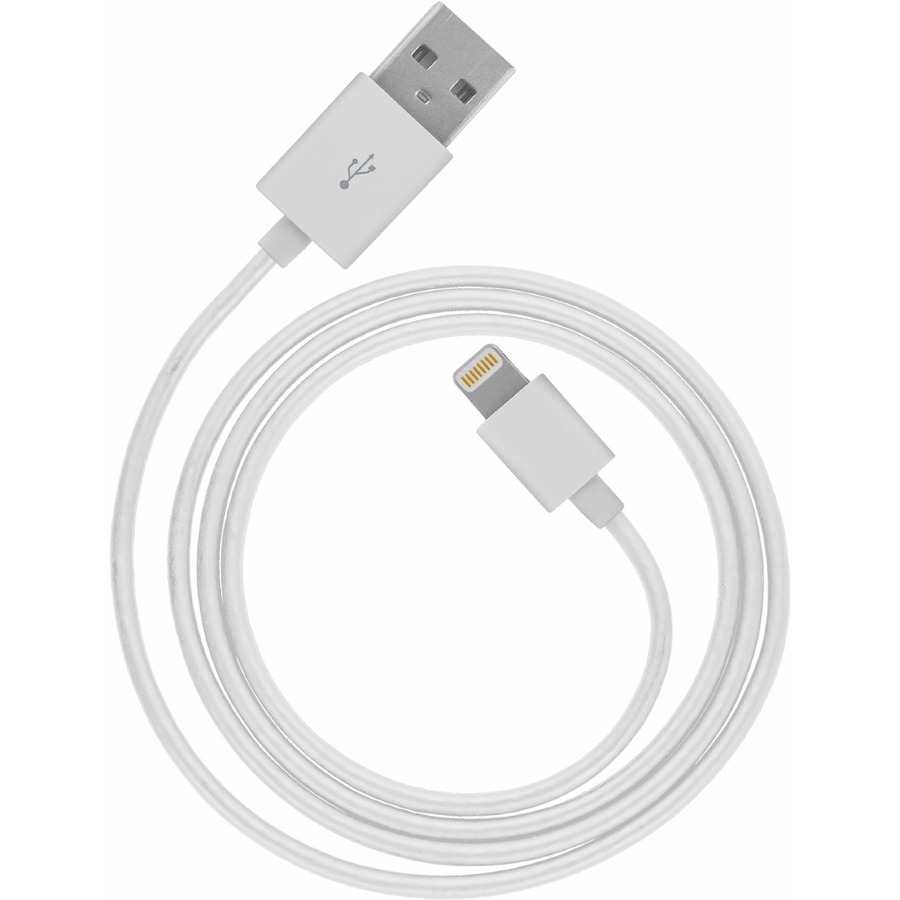 Trust Lightning/USB Data Transfer Cable for iPhone, iPod, iPad - 1 m ...