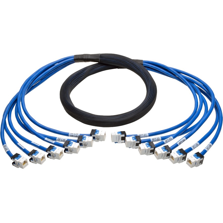 Eaton Tripp Lite Series Cat6a 10G Pre-Terminated Copper Trunk Assembly (6x RJ45 F/F), Blue, 6 ft. (1.83 m)