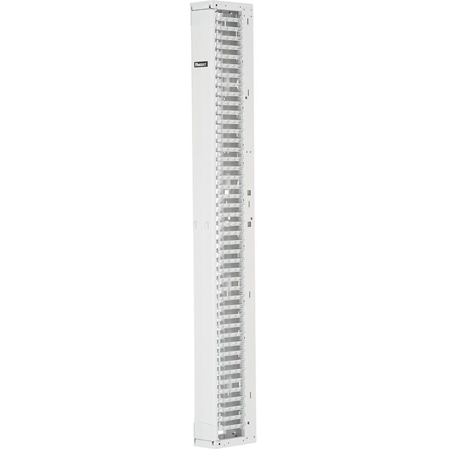 Panduit PR2VFD06WH Single Sided Manager