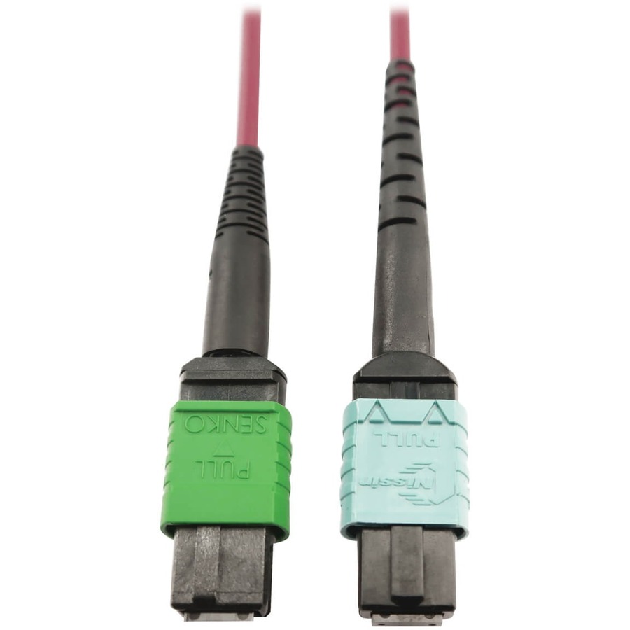 Eaton Tripp Lite Series 400G Multimode 50/125 OM4 Plenum Fiber Optic Cable, 16F MTP/MPO-APC to 24F MTP/MPO-UPC (F/F), Magenta, 3 m