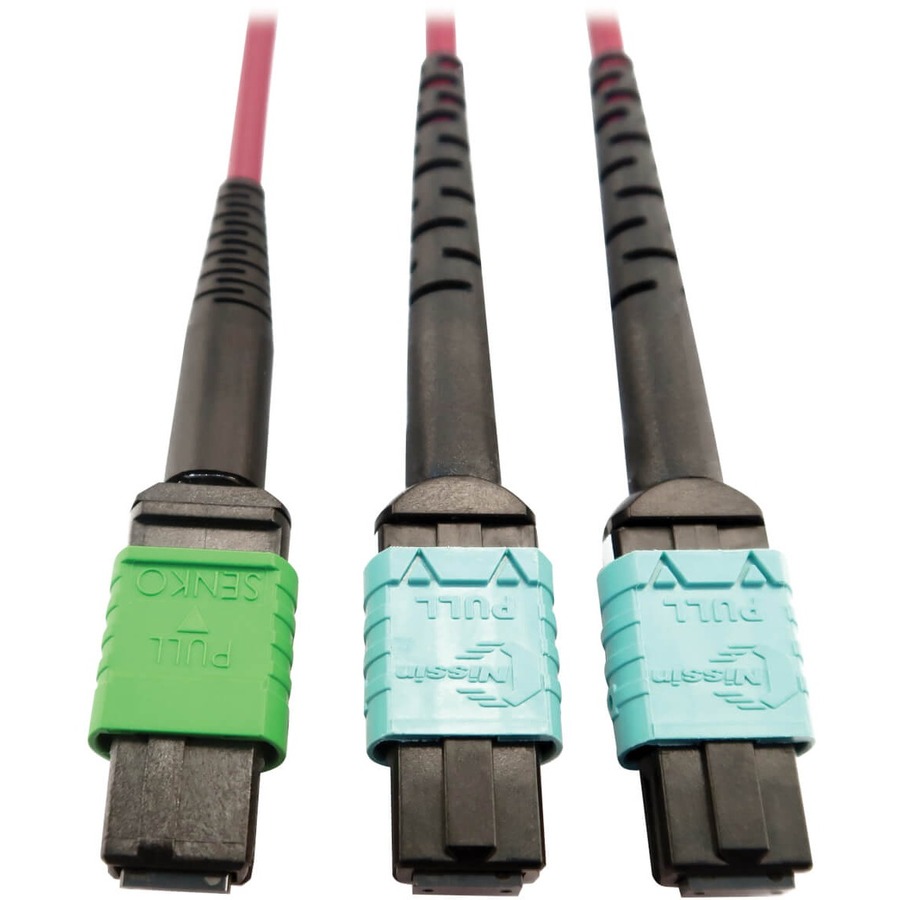 Tripp Lite by Eaton 400G Multimode 50/125 OM4 Plenum Fiber Optic Cable 16F MTP/MPO-APC to (x2) 12F MTP/MPO-UPC (F/F) Magenta 5 m