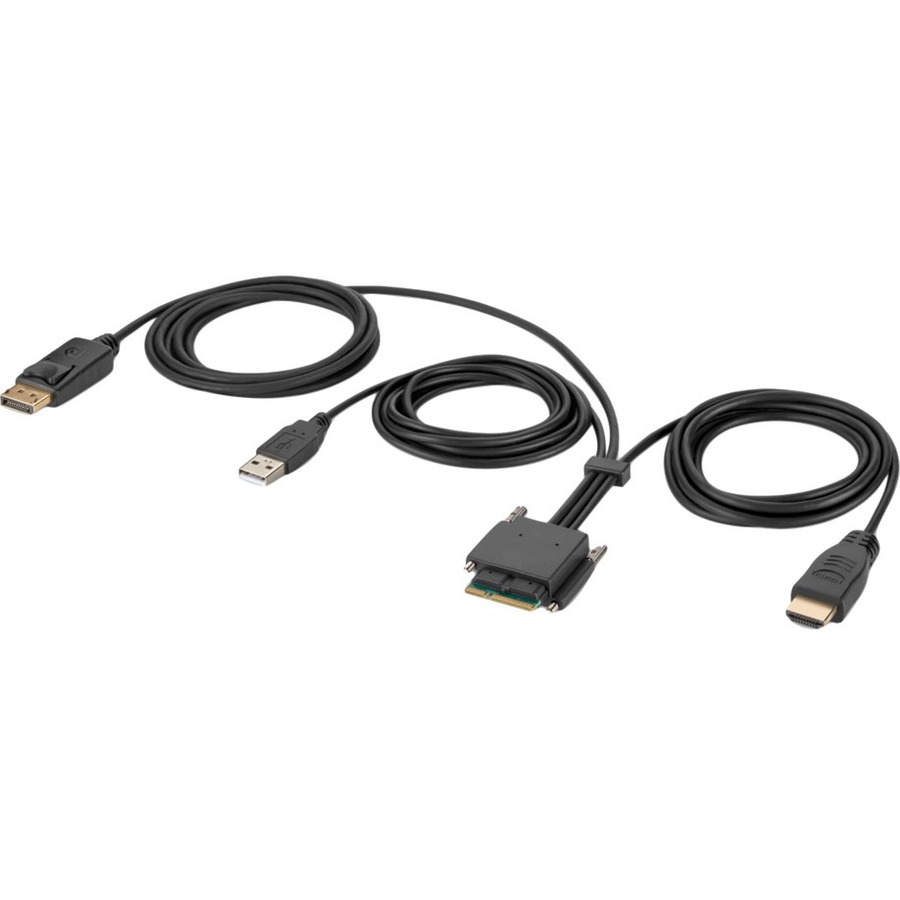 Belkin Modular HDMI and DP Dual-Head Host Cable 6 ft.