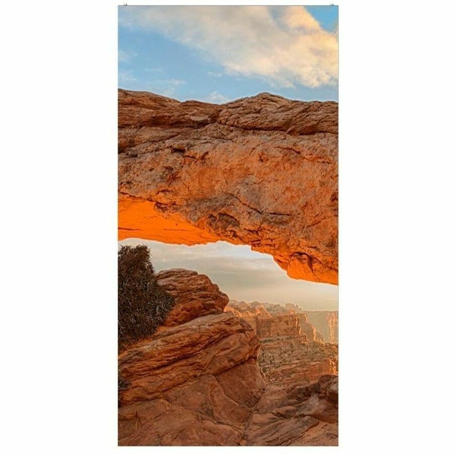 LG GSCA039-GN Digital Signage Display