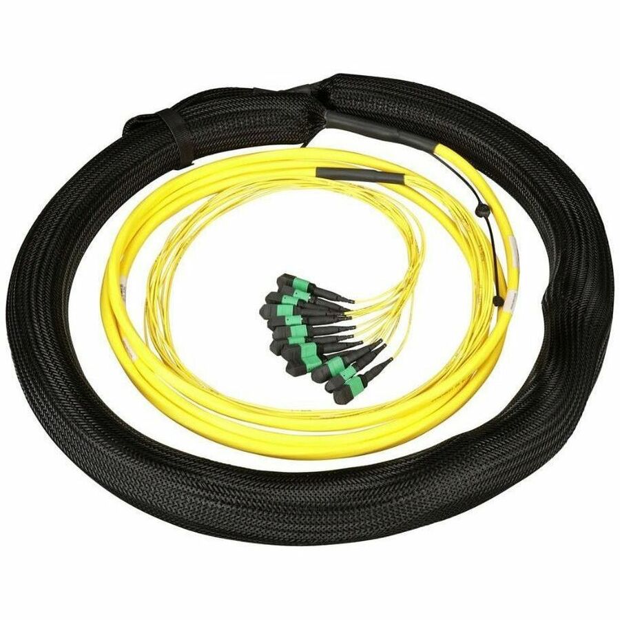 Panduit QuickNet Indoor/Outdoor MTP Female Trunk Cable Assembly, High Fiber Count