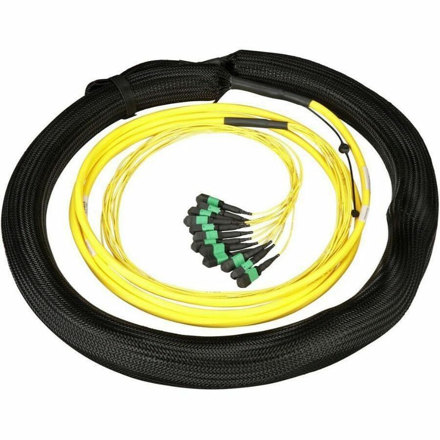 Panduit Fiber Optic Trunk Network Cable