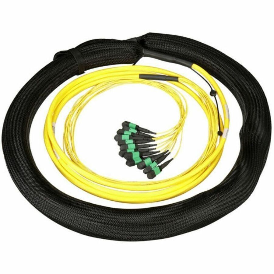 Panduit QuickNet Indoor Small Diameter MPO Female Trunk Cable Assembly, High Fiber Count