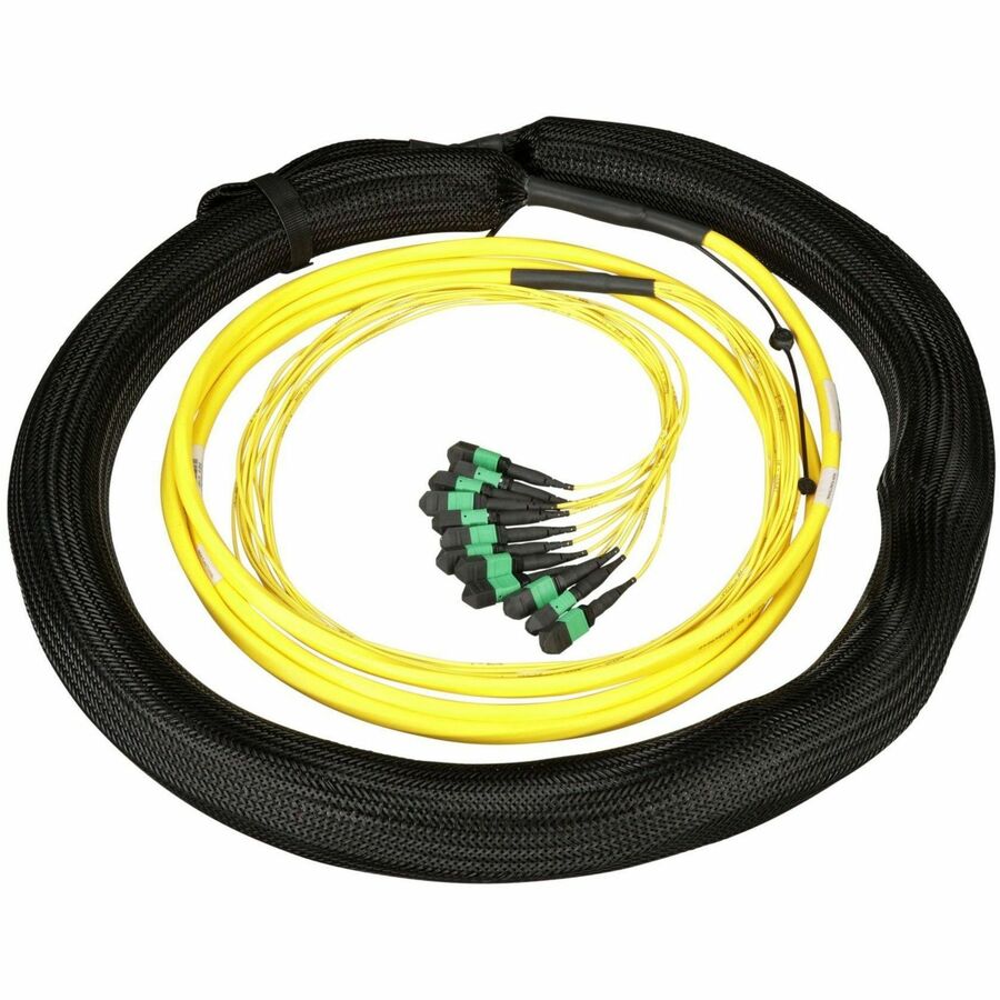 Panduit QuickNet Fiber Optic Trunk Network Cable