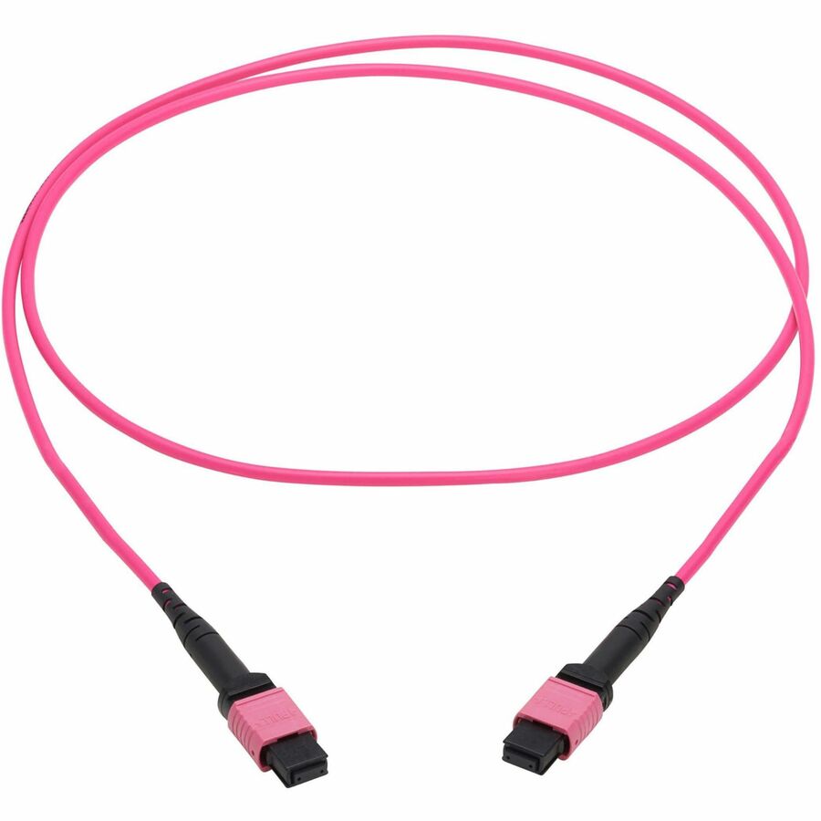 Eaton Tripp Lite Series 100G Multimode 50/125 OM4 Fiber Optic Cable (12F MTP/MPO-PC F/F), OFNP, Magenta, 2 m (6.6 ft.), TAA