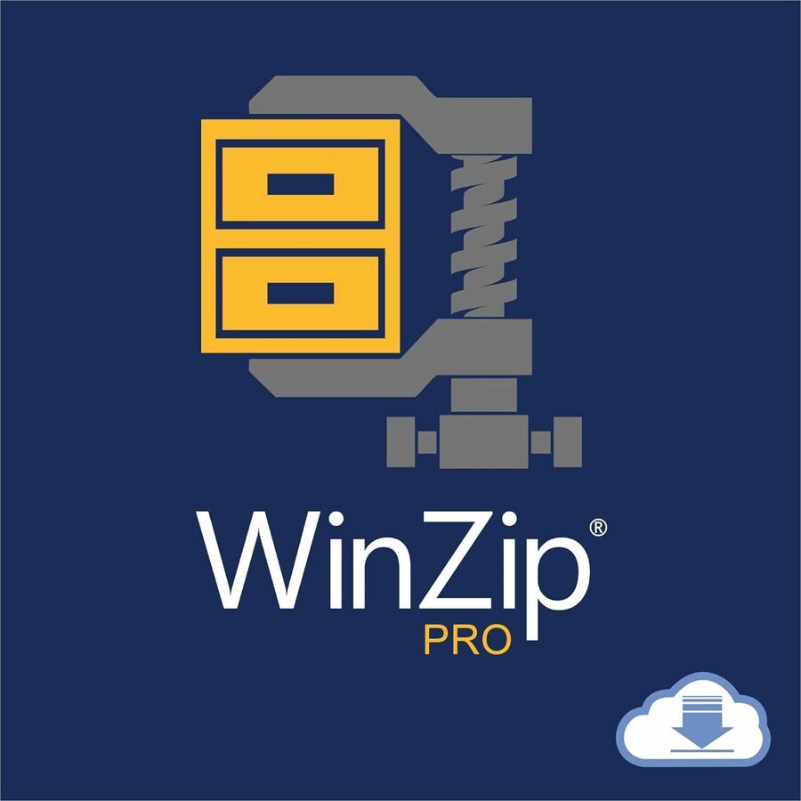 WinZip v. 30.0 Pro - License - 1 User