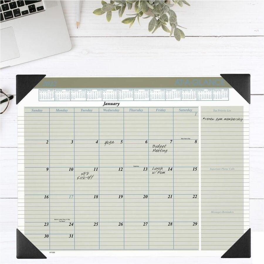At-A-Glance Executive Desk Pad - Standard Size - Monthly - 12 Month - January 2024 - December 2024 - 1 Month Single Page Layout - 21 3/4" x 17" White Sheet - 2.31" x 2.56" Block - Desk Pad - Tan - Poly, Paper - Phone Directory, Reference Calendar, Ruled, 