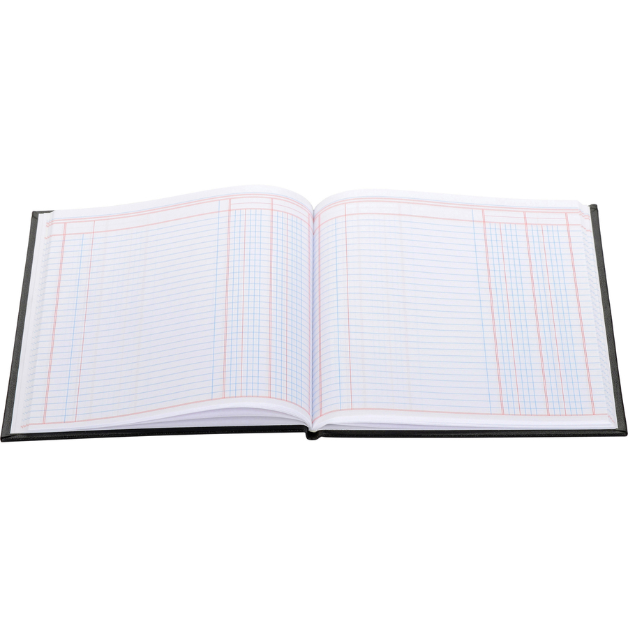Wilson Jones 74100 2-Column Account Book - 40 Sheet(s) - Sewn Bound - 7" x 9.25" Form Size - 9.50" x 7" Sheet Size - 2 Columns per Sheet - White Sheet(s) - Red, Blue Print Color - Black, Gold Cover - 1 Each