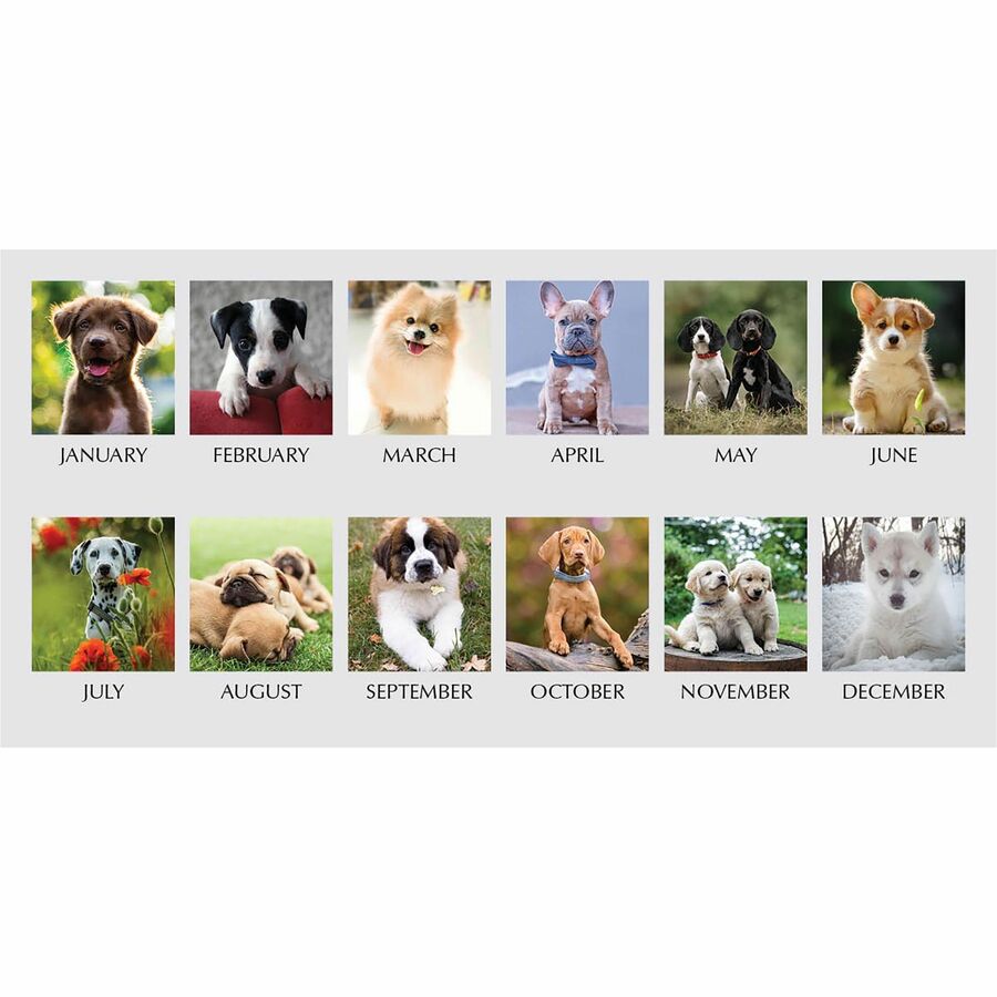 House Of Doolittle 2025 Monthly Calendar Planner, Earthscapes Gardens, 7 X 10 Inches, January - December (HOD264632-25